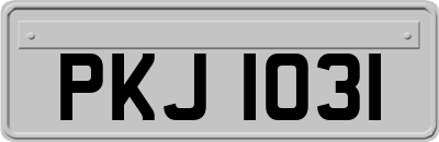 PKJ1031