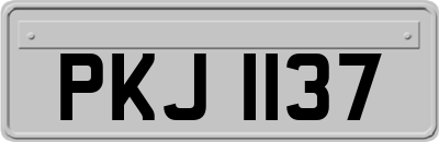 PKJ1137