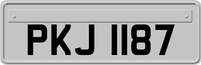 PKJ1187