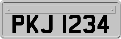 PKJ1234