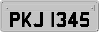 PKJ1345