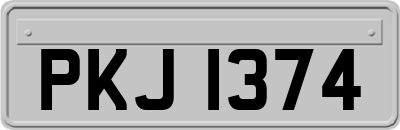 PKJ1374