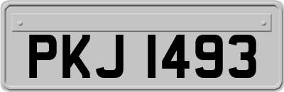 PKJ1493