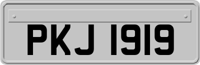 PKJ1919