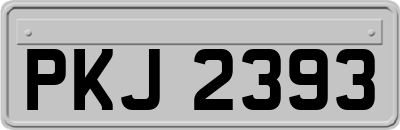 PKJ2393