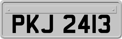 PKJ2413