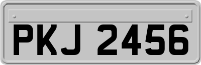PKJ2456