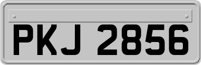 PKJ2856