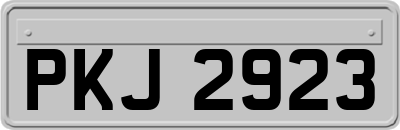 PKJ2923
