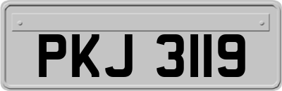 PKJ3119
