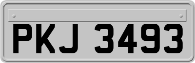 PKJ3493