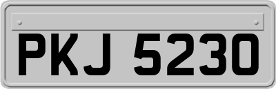PKJ5230