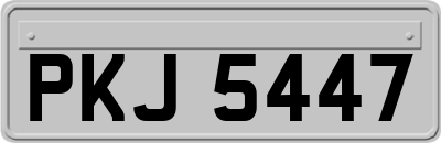 PKJ5447