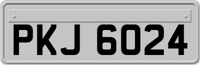 PKJ6024