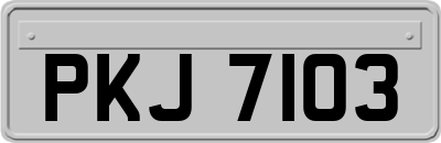 PKJ7103