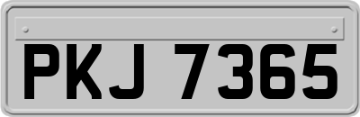 PKJ7365