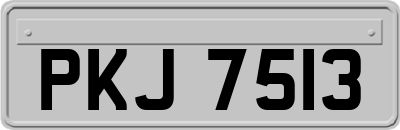 PKJ7513
