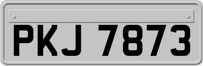 PKJ7873