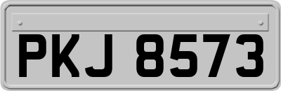 PKJ8573