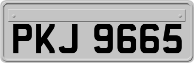PKJ9665