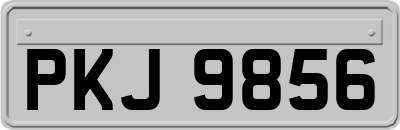 PKJ9856