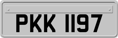 PKK1197