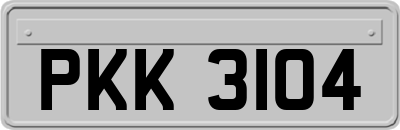 PKK3104