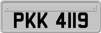 PKK4119