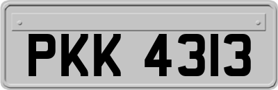 PKK4313