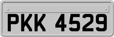 PKK4529