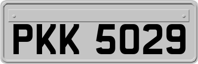 PKK5029