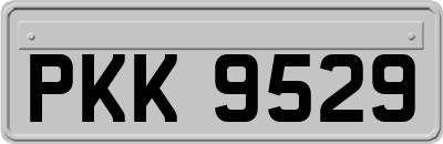 PKK9529