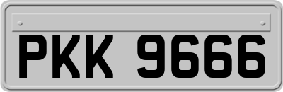 PKK9666
