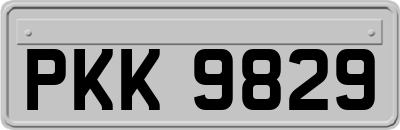 PKK9829