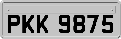 PKK9875