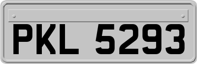 PKL5293