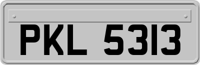 PKL5313