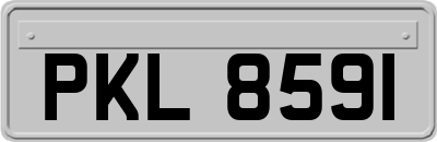 PKL8591