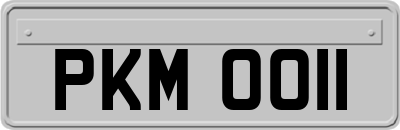 PKM0011