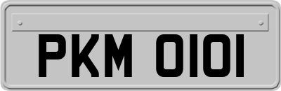 PKM0101