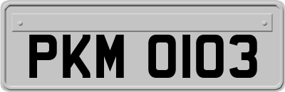 PKM0103