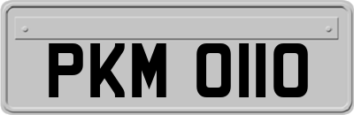 PKM0110