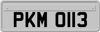 PKM0113