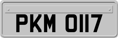 PKM0117