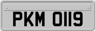 PKM0119
