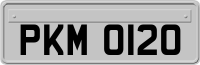PKM0120