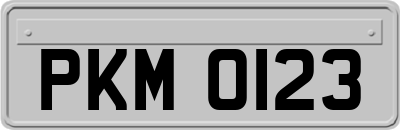PKM0123