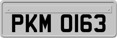 PKM0163