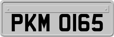 PKM0165