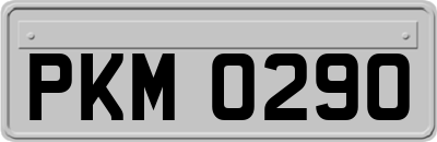 PKM0290